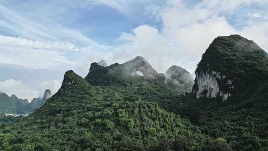 云雾缭绕的山林景观