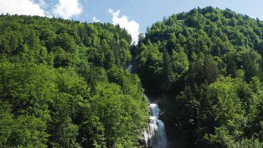 4k瑞士阿尔卑斯山森林中的瀑布