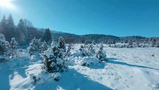 FPV航拍雪景雪地日出阳光照射森林蓝天云