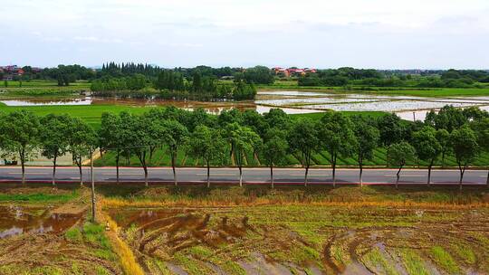 乡村公路