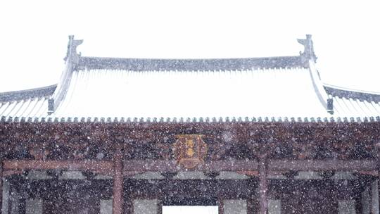 杭州德寿宫冬天下雪花纷飞升格慢镜头视频素材模板下载