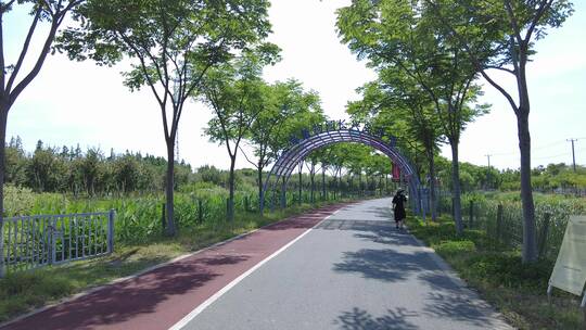 上海崇明区长兴岛郊野公园4K实拍