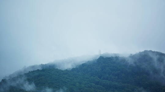 雨后雨雾缭绕的山林视频素材模板下载