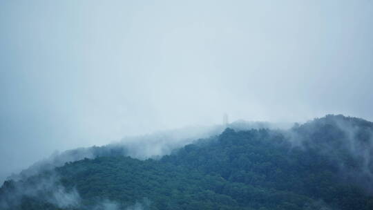 雨后雨雾缭绕的山林