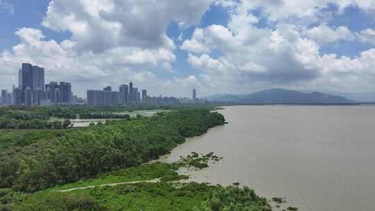 4K深圳福田区红树林