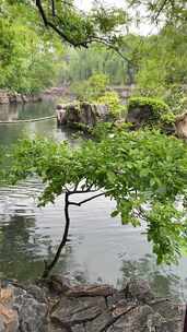 雨中济南护城河，天下第一泉黑虎泉白石桥