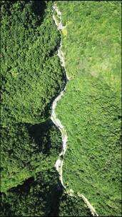 竖版航拍湖北十堰神农大峡谷景区