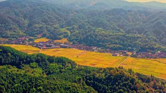 山谷中的稻田航拍