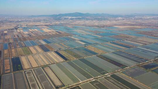 安徽省马鞍山市丹阳湖农场航拍