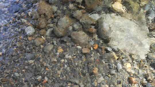 清澈见底的水面和水底的鹅卵石