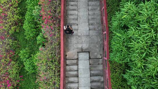 南宁青秀山景区视频素材模板下载