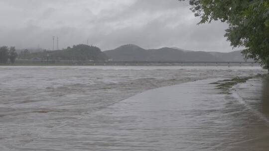 暴雨洪水LOG视频素材