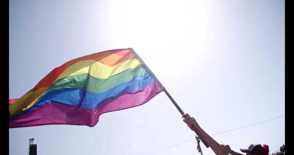 旗帜，同性恋骄傲，庆祝，人群