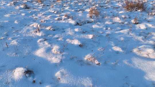 寒冬湿地草甸雪景 合集