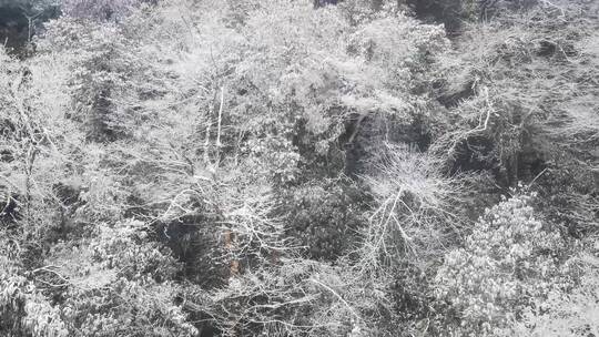 贵州铜仁梵净山5A景区冬天雪景视频素材模板下载