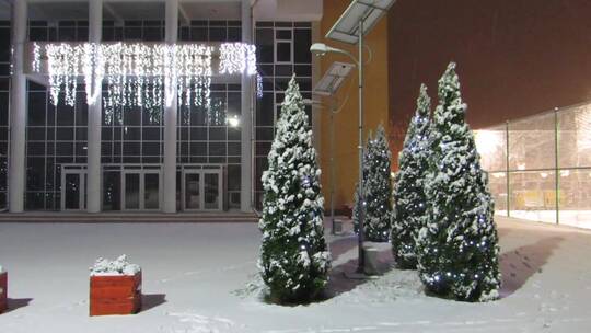 雪花落在圣诞树上