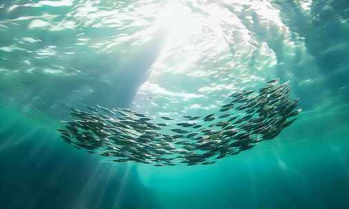 【大海海浪合集】，海浪拍打礁石