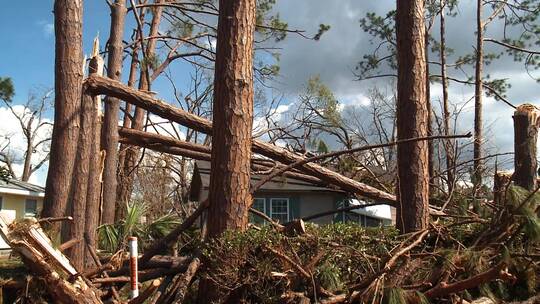 被折断的大树压倒了房子