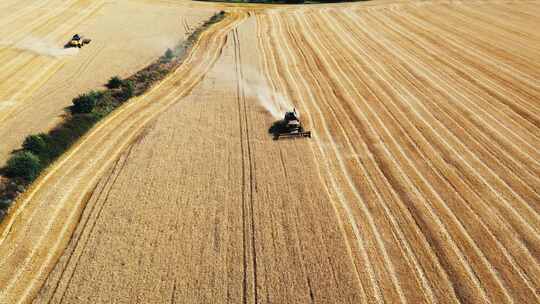 航拍农业机械收割麦子