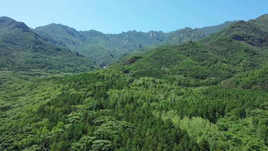 【航拍】风景 坝上绿水青山