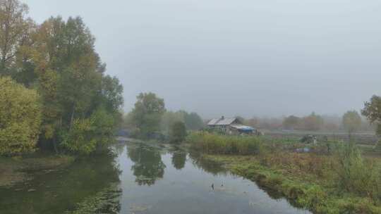 秋季晨雾中的河岸农舍视频素材模板下载