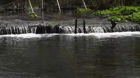 山涧溪流小河流水野外视频实拍