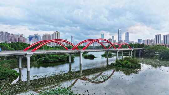 深圳罗湖区洪湖公园城市风光航拍