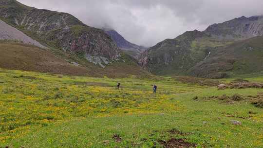 川西格聂山区阿沙沟草原花海的徒步旅行者