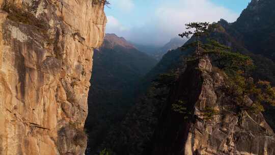 秋季森林自然风景实拍