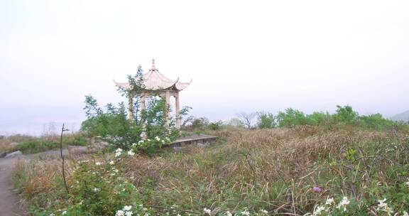 荒山野地