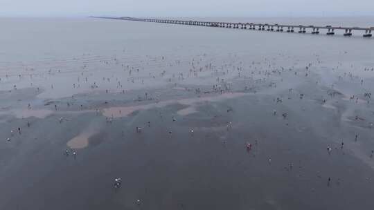 上海东海大桥海滩人流视频素材模板下载