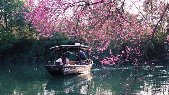 杭州西溪湿地梅花