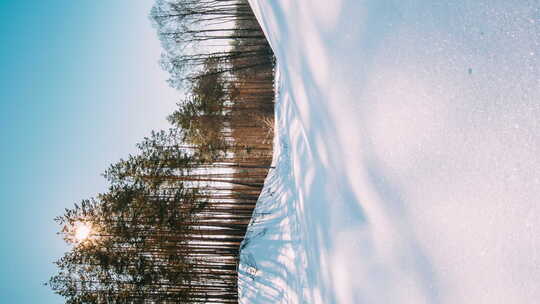 垂直镜头延时延时阳光和移动阴影在森林雪上的延时视频素材模板下载