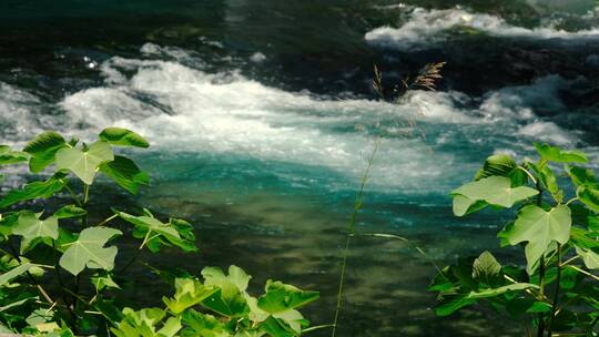 河水 4k超清 大自然 静物 清澈