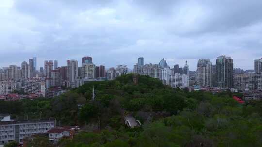 思明区城市高楼与绿植景观全景