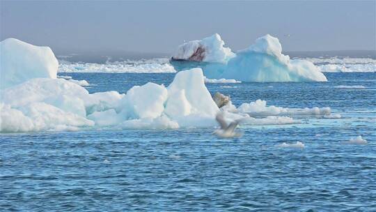 海冰漂浮经过搁浅冰山