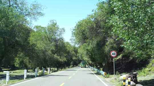 森林开车第一视角树林山路行驶公路远途风景