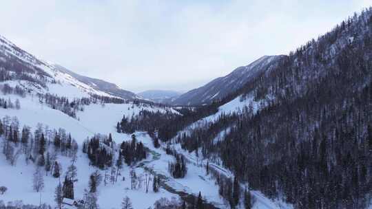 航拍新疆冬季喀纳斯湖雪景雪山森林冰河晨雾