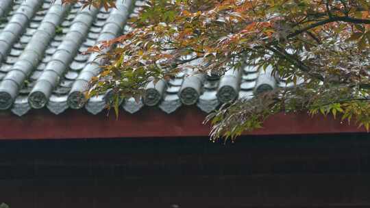 重庆雨季下雨屋檐实拍