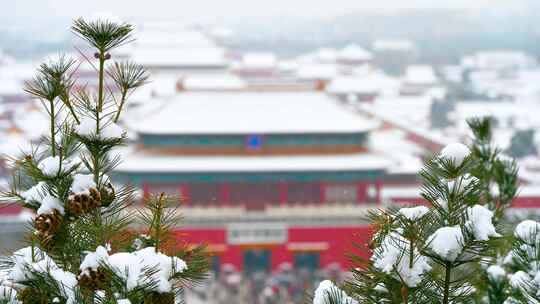 北京冬季下雪天故宫博物院古建筑群风光