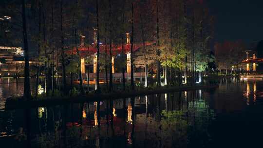 佛山千灯湖公园落羽杉红叶与城市高楼夜景