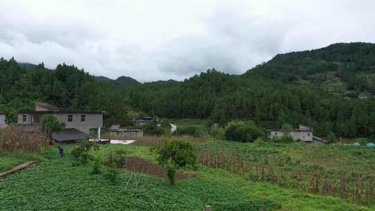 重庆四川山区