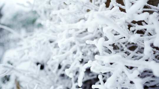 伏牛山冬季雪景雾凇