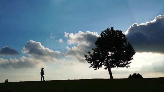 延时摄影 自然风光 孤独的树