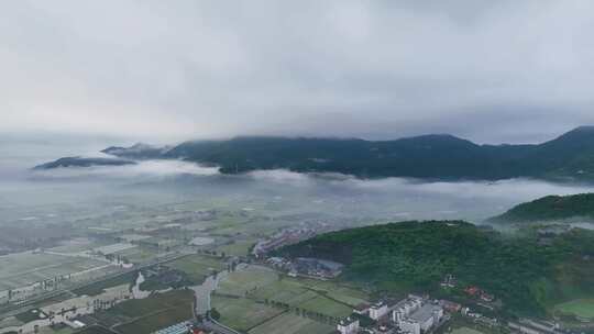 温州平阳田园乡村与平流雾