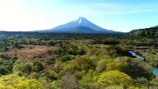 从静冈县新东区大山町的足加拉山口看到黎明