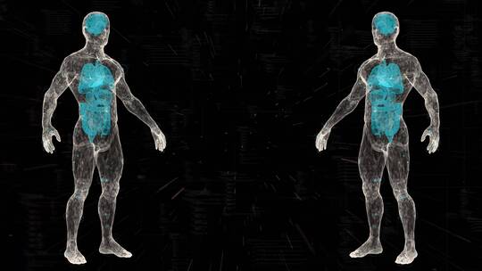 身体扫描生物科技人体扫描点模型蓝色三维