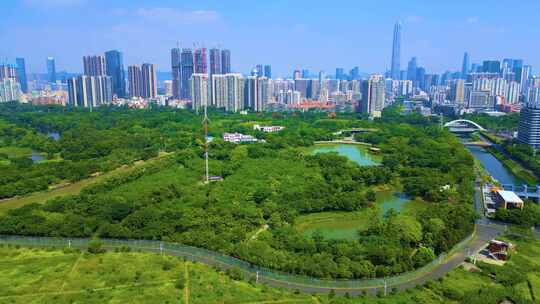 深圳福田红树林生态公园