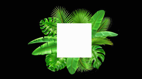 框架背景热带树叶备用空间动画视频素材模板下载
