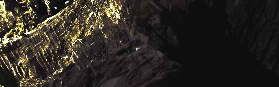 乌木 金丝楠木 神木 千年乌木 金色木头